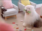 OMD retains DuluxGroup